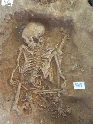 発掘した人骨の写真1
