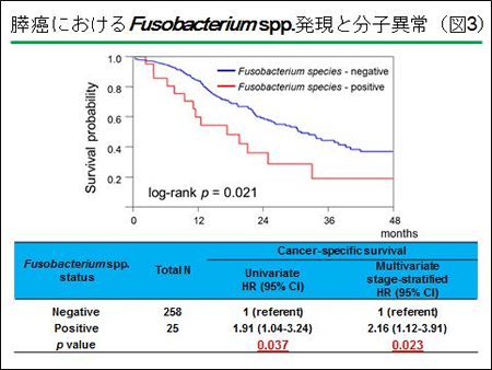 （図3）膵癌におけるFusobacterium spp.発現と分子異常