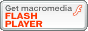FlashPlayer�ŐV�ł͂����炩��