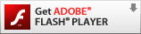 get_flash_player_l.gif