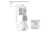 slide27@.jpeg
