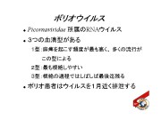 slide3@.jpeg