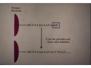 slide33@.jpeg