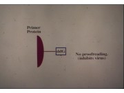 slide34@.jpeg