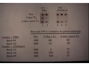slide68@.jpeg