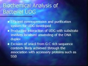 slide21@.jpeg