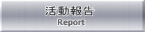 Report 