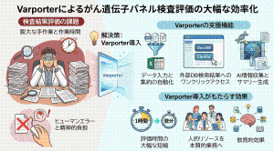 varporter_ai