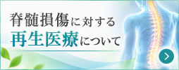 脊髄損傷に対する再生医療等製品「ヒト（自己）骨髄由来間葉系幹細胞」を用いた診療について