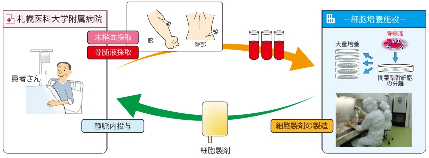 治療の流れ