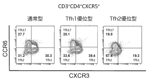 CD3+CD4+CXCR5+