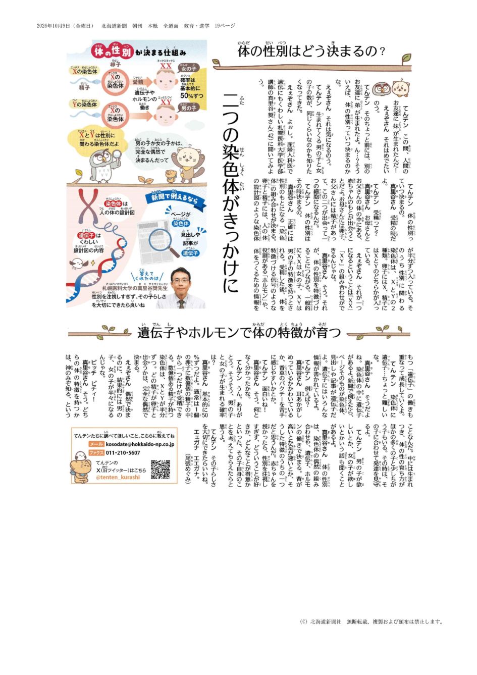 北海道新聞朝刊　体の性別はどう決まるの？　遺伝子やホルモンで体の特徴が育つ