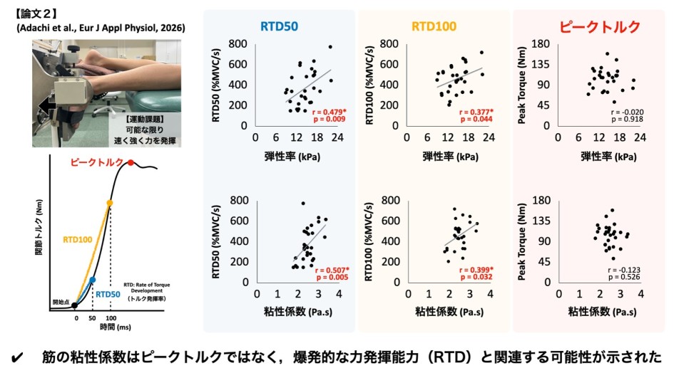 図2．RTDおよびピークトルクと弾性率および粘性係数の関係．アスタリスクはp < 0.05を示す