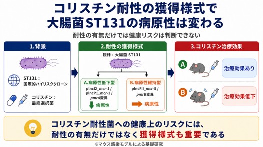 本研究の概要図
