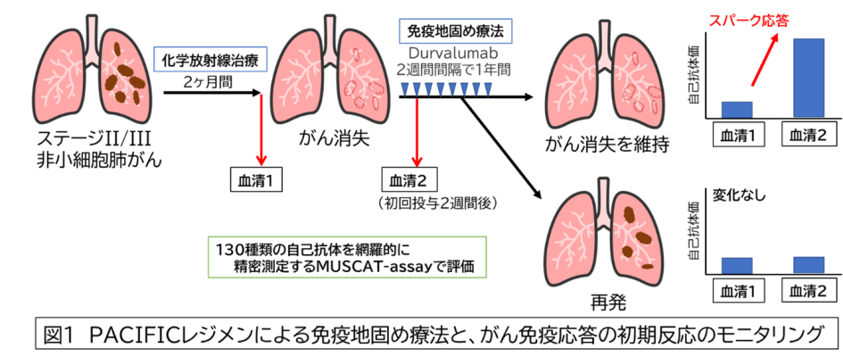 図1