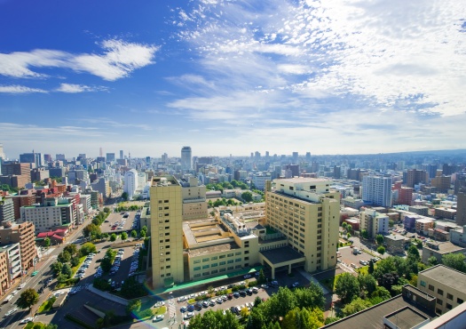 札幌市街と附属病院の写真 