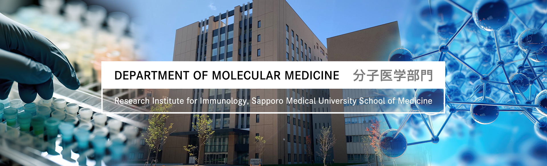 Department of Molecular Medicine　分子医学部門 / Research Institute for Frontier Medicine, Sapporo Medical University School of Medicine