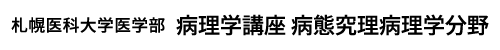札幌医科大学 医学部 病理学講座病態究理病理学分野