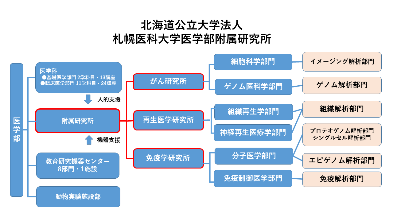 フロンティア医学研究所の拠点