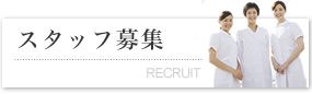 スタッフ募集