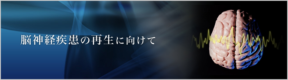 脳神経疾患の再生に向けて